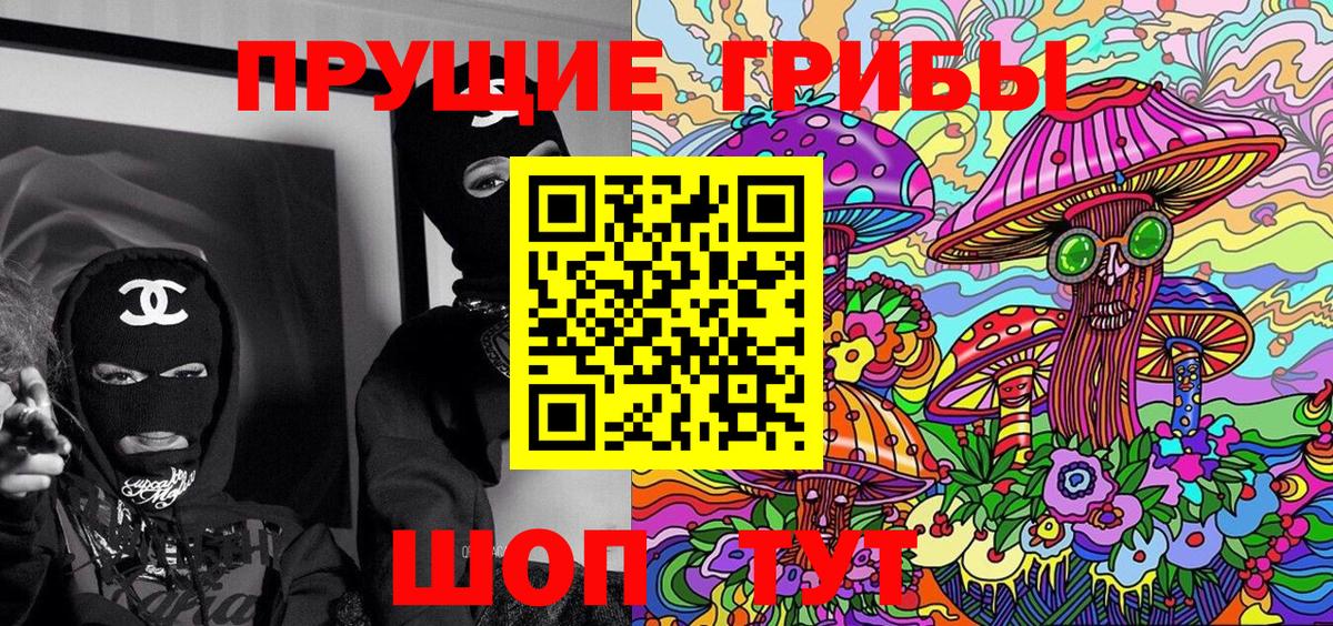 Псилоцибиновые грибы Psilocybine cubensis Краснознаменск