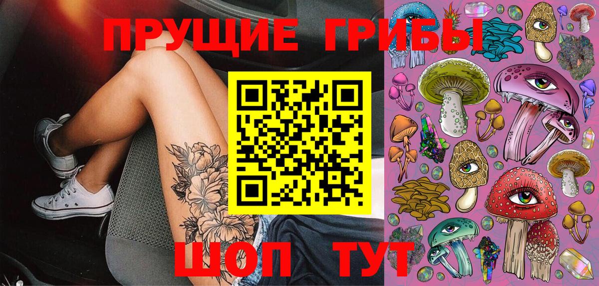 Краснознаменск  наркошоп  Вход с VPN  Псилоцибиновые грибы прущие грибы 